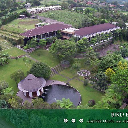 Amaryllis Boutique Resort Paragajen Luaran gambar